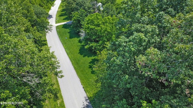 Mt Helen Rd, Allardt, TN 38504 - photo 33