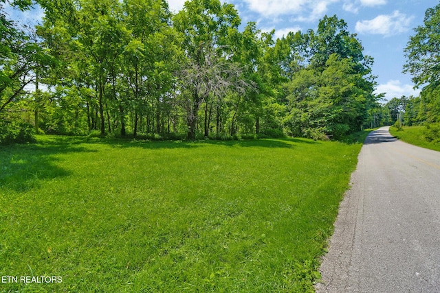 Mt Helen Rd, Allardt, TN 38504 - photo 3