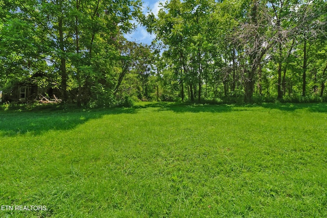 Mt Helen Rd, Allardt, TN 38504 - photo 1