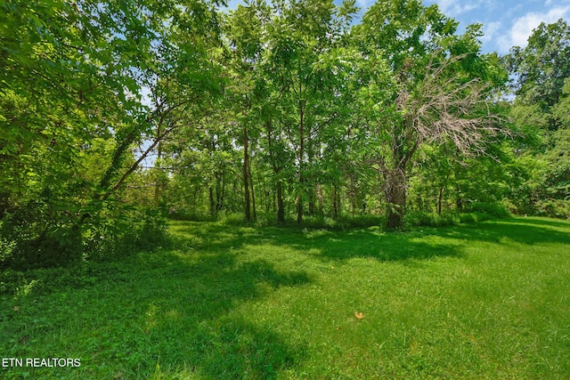 Mt Helen Rd, Allardt, TN 38504 - photo 2