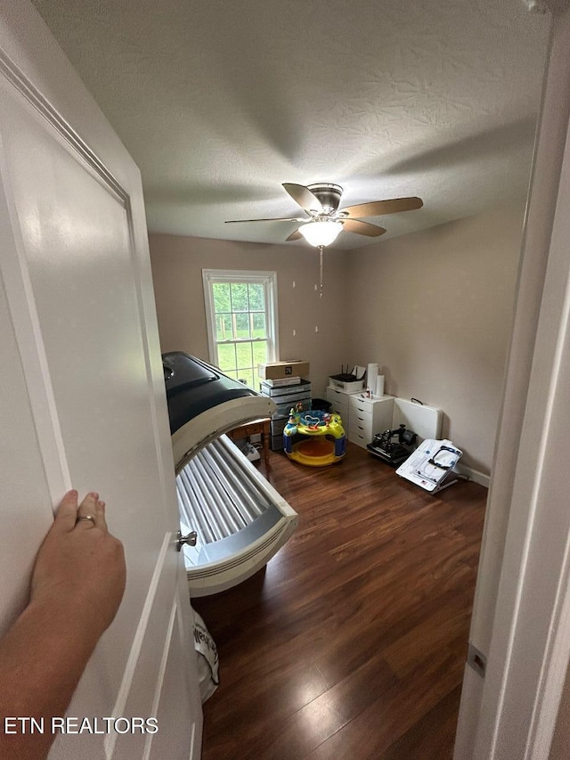 935 Pinetree Rd, Jamestown, TN 38556 - interior space featuring wood finished floors and a ceiling fan