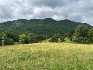0 Trent Valley Rd, Sneedville, TN 37869 - photo 2