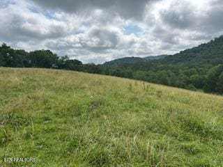 0 Trent Valley Rd, Sneedville, TN 37869 - photo 4