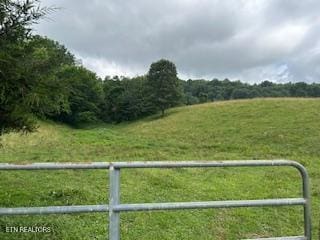 0 Trent Valley Rd, Sneedville, TN 37869 - photo 12