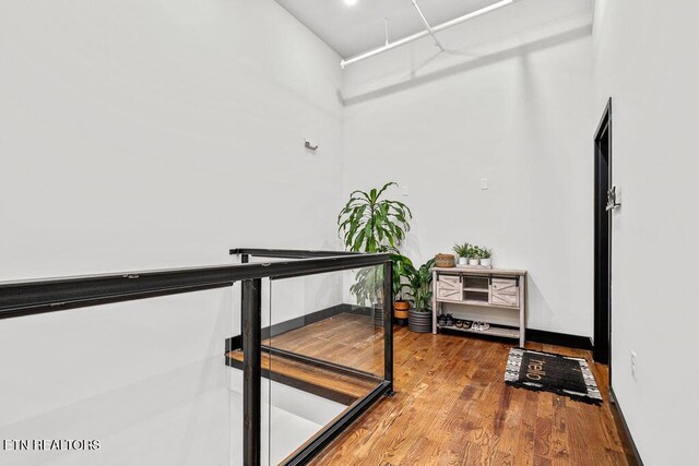 353 Ogden St Unit 303, Knoxville, TN 37917 - photo 5