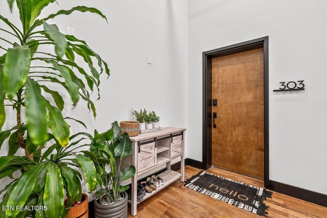 353 Ogden St Unit 303, Knoxville, TN 37917 - photo 7