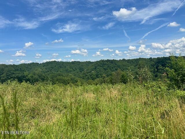 LOT13 H O Allison Rd, Baxter, TN 38544