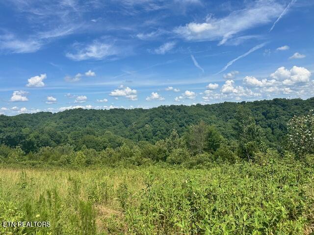 LOT13 H O Allison Rd, Baxter, TN 38544