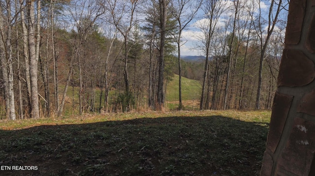 805 Punkton Rd, Del Rio, TN 37727 - view of yard featuring a wooded view