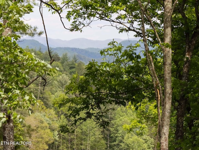 805 Punkton Rd, Del Rio, TN 37727 - view of mountain backdrop with a heavily wooded area