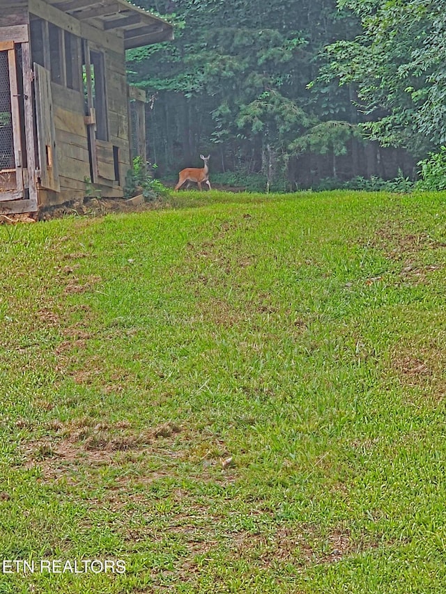 805 Punkton Rd, Del Rio, TN 37727 - view of grassy yard