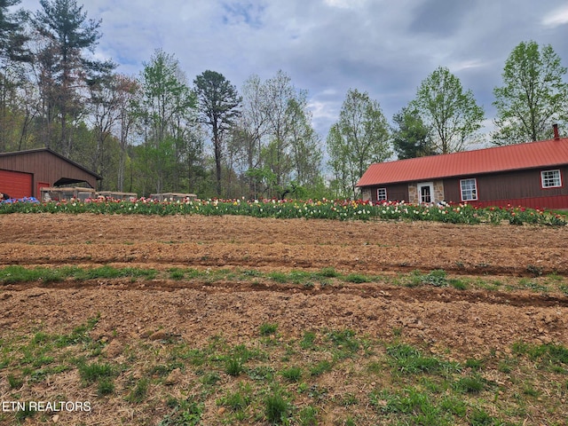 805 Punkton Rd, Del Rio, TN 37727 - view of yard featuring a detached garage