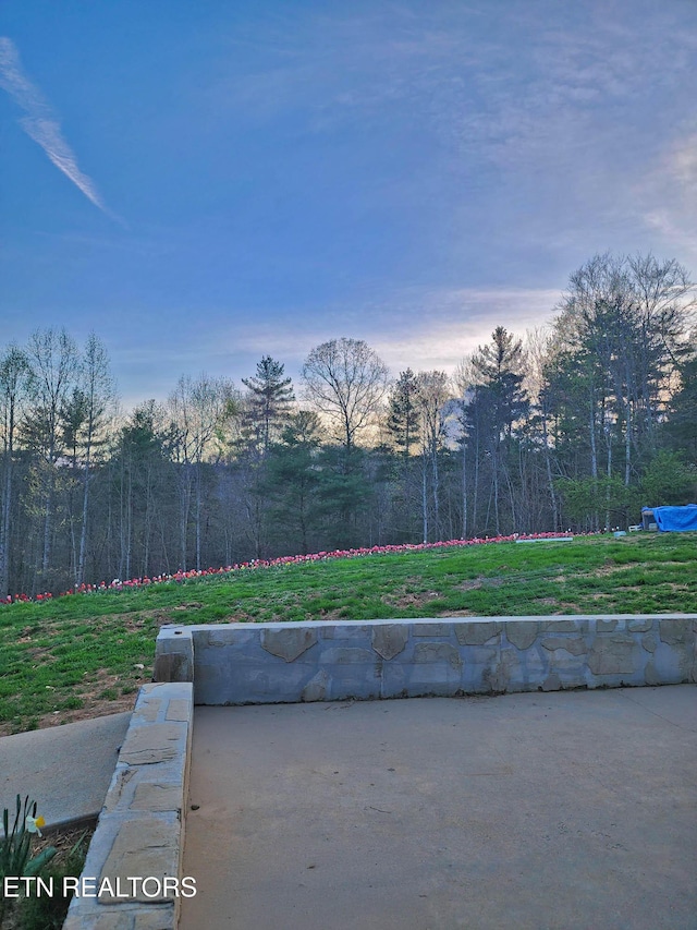 805 Punkton Rd, Del Rio, TN 37727 - view of patio