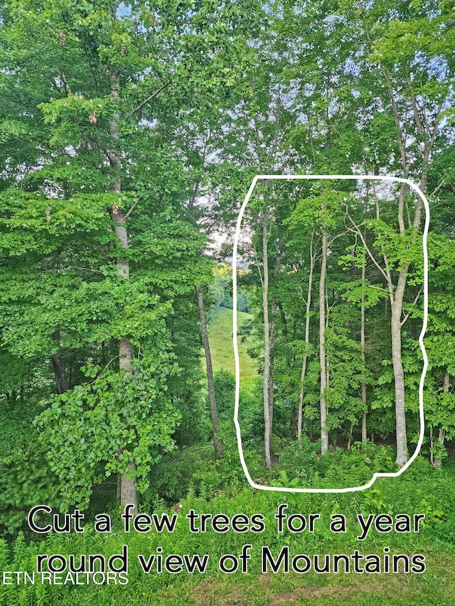 805 Punkton Rd, Del Rio, TN 37727 - map / location