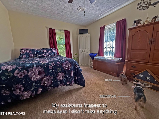 805 Punkton Rd, Del Rio, TN 37727 - carpeted bedroom featuring a textured ceiling and a ceiling fan