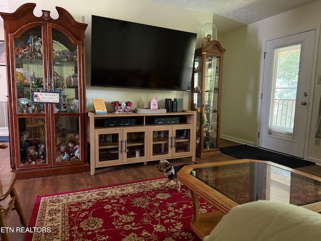 805 Punkton Rd, Del Rio, TN 37727 - living area with wood finished floors