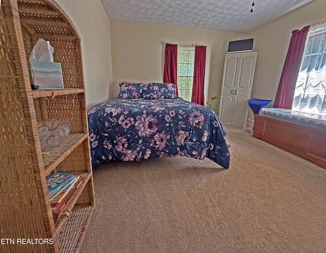 805 Punkton Rd, Del Rio, TN 37727 - carpeted bedroom featuring a textured ceiling