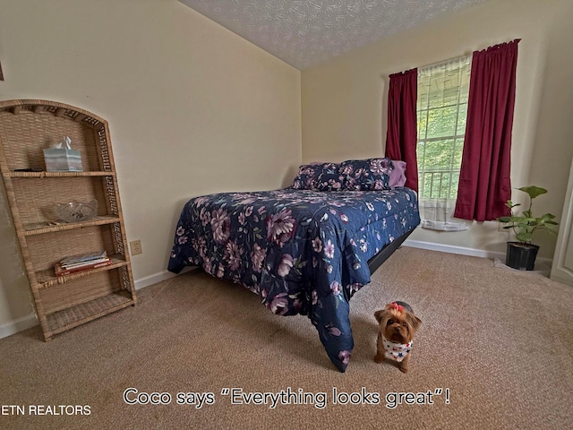 805 Punkton Rd, Del Rio, TN 37727 - carpeted bedroom with a textured ceiling and lofted ceiling