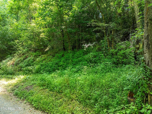 174 Old Ivey Hollow Rd, Lafollette, TN 37766 - photo 1