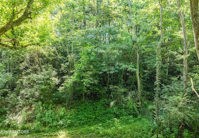 174 Old Ivey Hollow Rd, Lafollette, TN 37766 - photo 2