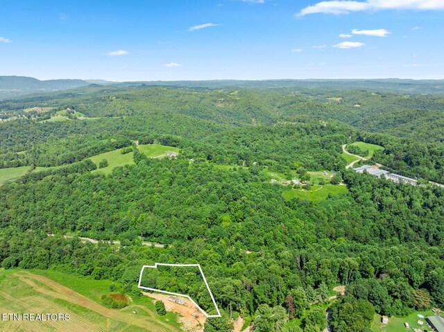 174 Old Ivey Hollow Rd, Lafollette, TN 37766 - photo 8