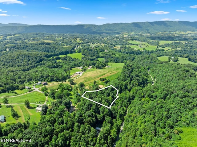 174 Old Ivey Hollow Rd, Lafollette, TN 37766 - photo 11