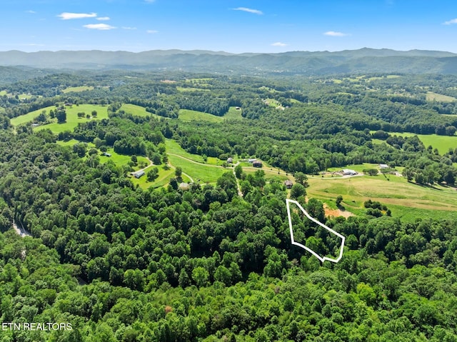 174 Old Ivey Hollow Rd, Lafollette, TN 37766 - photo 12