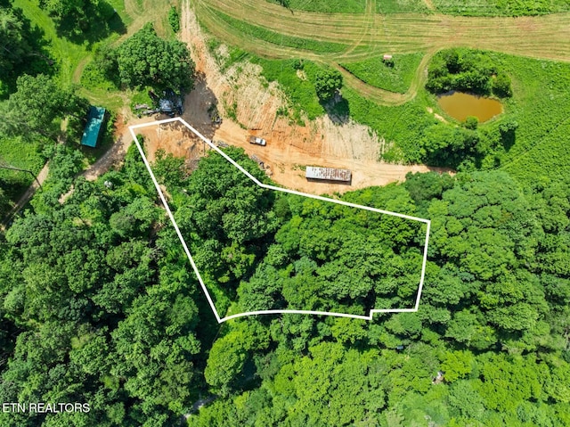 174 Old Ivey Hollow Rd, Lafollette, TN 37766 - photo 3