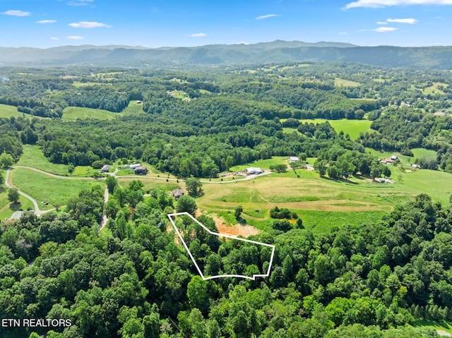 174 Old Ivey Hollow Rd, Lafollette, TN 37766 - photo 4