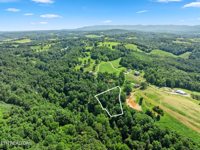 174 Old Ivey Hollow Rd, Lafollette, TN 37766 - photo 5