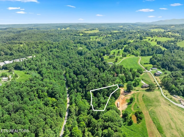174 Old Ivey Hollow Rd, Lafollette, TN 37766 - photo 6