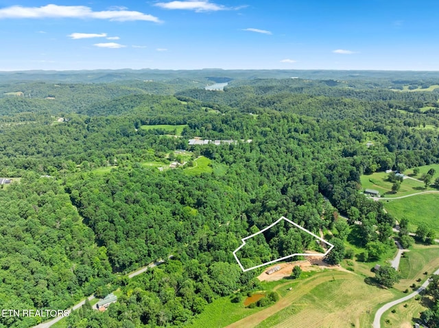174 Old Ivey Hollow Rd, Lafollette, TN 37766 - photo 7