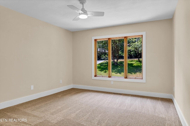 143 Inata Cir, Loudon, TN 37774 - photo 17