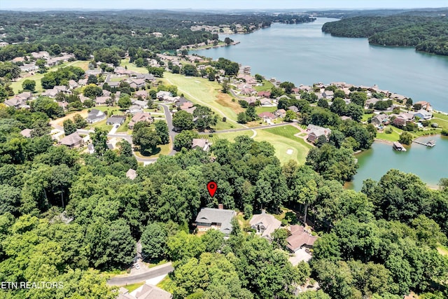 143 Inata Cir, Loudon, TN 37774 - photo 29