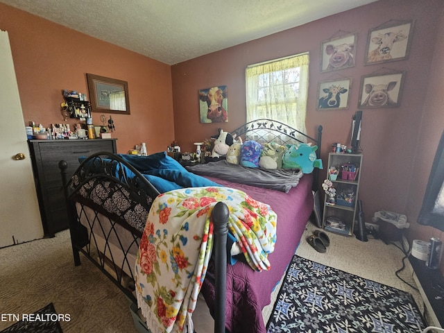 1106 Smyth Chapel Rd, Pennington Gap, VA 24277 - carpeted bedroom featuring a textured ceiling