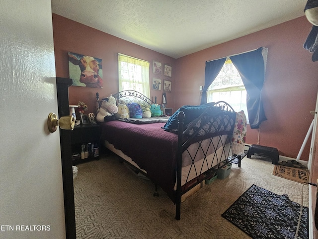 1106 Smyth Chapel Rd, Pennington Gap, VA 24277 - carpeted bedroom featuring multiple windows and a textured ceiling