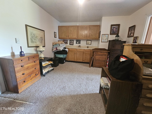 1106 Smyth Chapel Rd, Pennington Gap, VA 24277 - home office with light colored carpet
