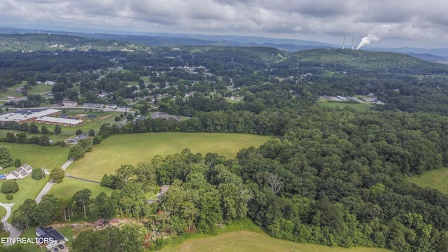947 Lawnville Rd, Kingston, TN 37763 - photo 8
