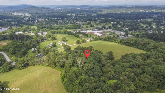 947 Lawnville Rd, Kingston, TN 37763 - photo 9