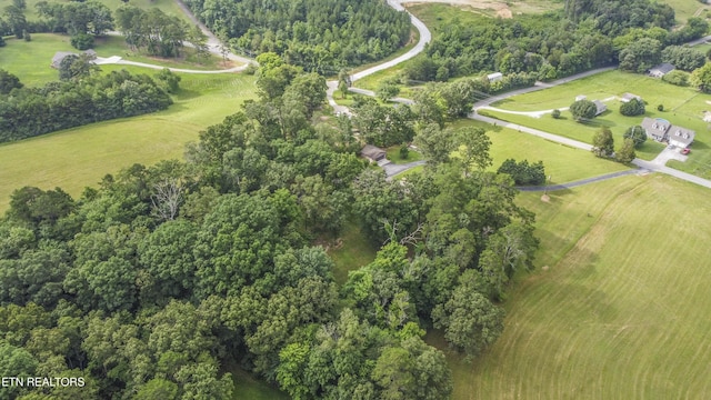 947 Lawnville Rd, Kingston, TN 37763 - photo 11