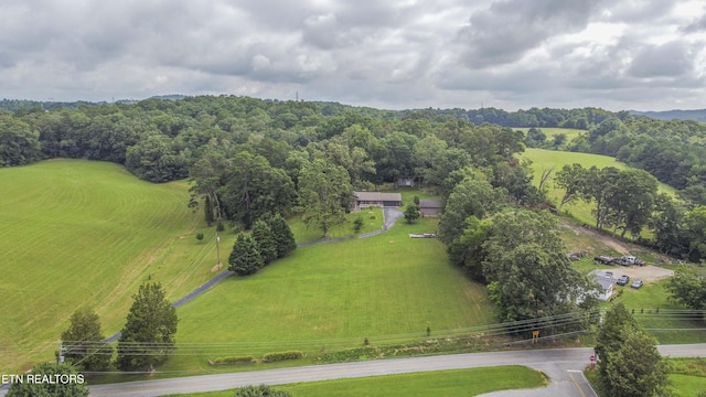 947 Lawnville Rd, Kingston, TN 37763 - photo 13