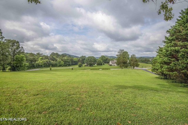 947 Lawnville Rd, Kingston, TN 37763 - photo 50