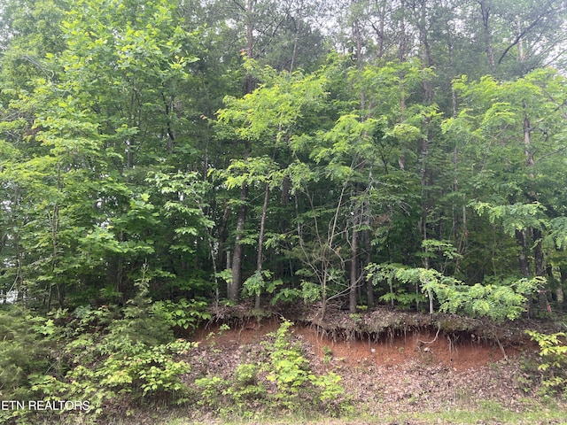 Laurel Mountain Rd, Madisonville, TN 37354 - photo 2