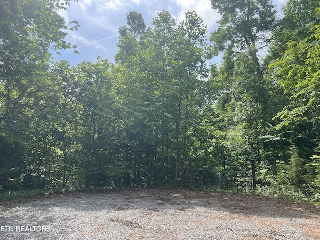 Laurel Mountain Rd, Madisonville, TN 37354 - photo 3
