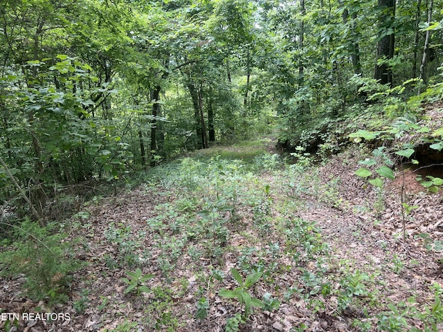 Laurel Mountain Rd, Madisonville, TN 37354 - photo 4