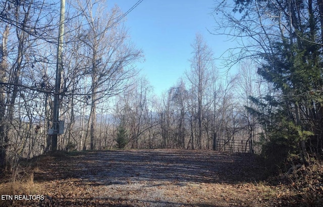 Laurel Mountain Rd, Madisonville, TN 37354 - photo 7
