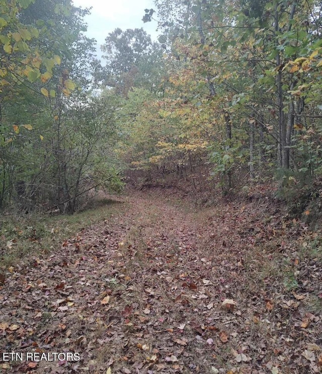 Laurel Mountain Rd, Madisonville, TN 37354 - photo 8