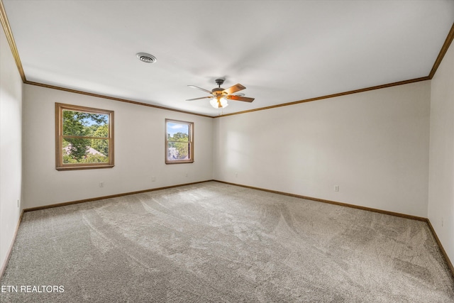 176 County Road 578, Englewood, TN 37329 - photo 20