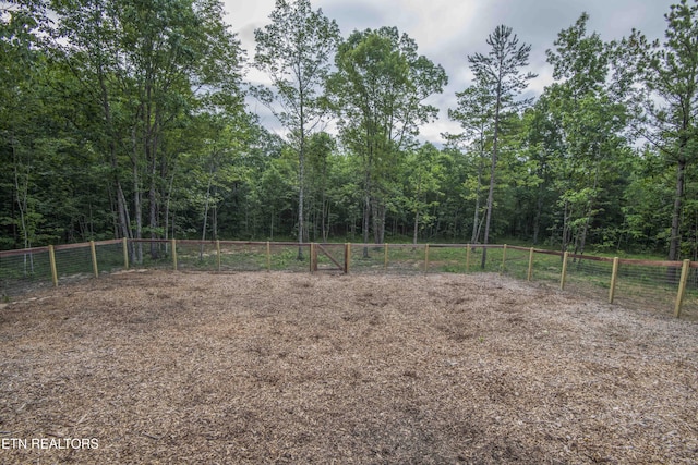 3834 Smith Mountain Rd, Rockwood, TN 37854 - photo 41