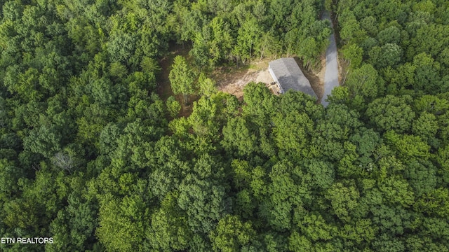 3834 Smith Mountain Rd, Rockwood, TN 37854 - photo 5